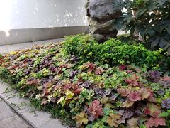 -许记大碗皮肚面馆(三条巷店)
