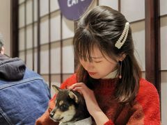 -逗柴咖啡屋·狗咖猫咖宠物桌游