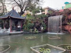 -碧江金楼