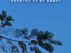 -大屏嶂森林公园
