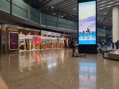-日上免税店(三径路t3店)
