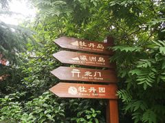 -西苑公园