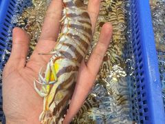 -吴记富苑(朝阳店)