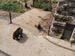 -哈尔滨北方森林动物园