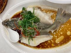 葱油鲈鱼-誉点壹品酒家(中山八店)