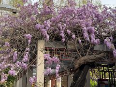 -郑和公园