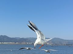 -海埂大坝