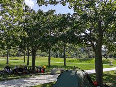 -风云岭森林公园