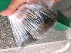 麻糍-叶氏麻糍(鼓浪屿店)