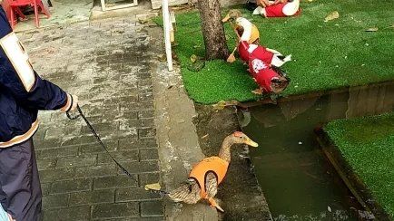 -上美四季动物农场