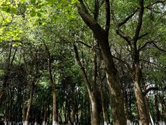 -艾溪湖湿地公园