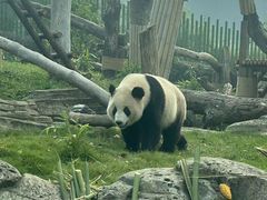 -武汉动物园