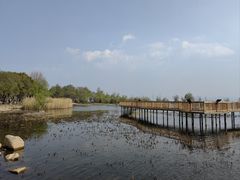-洱海月湿地公园