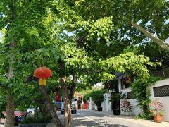 -丽泽山庄·生态怀柔菜·虹鳟鱼(红螺寺店)