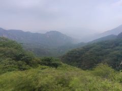-大岭沟猕猴桃谷风景区