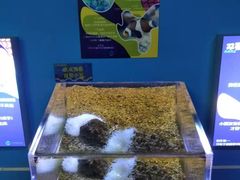 -沙沙哗啦海洋馆(华宇百花谷店)