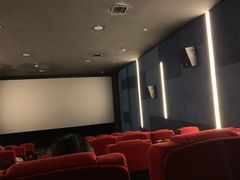 -太平洋影院(西村店)