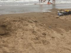-南戴河旅游度假区