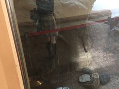 -东京国立博物馆
