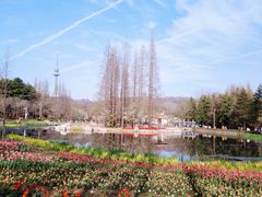 -青岛中山公园-索道售票处