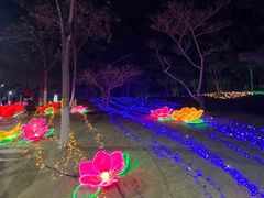 -青龙湖公园