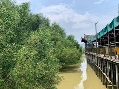 -崖口红树林海鲜餐厅