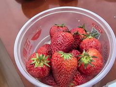 -哈尔滨融创文旅城