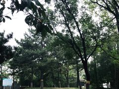 -云岗森林公园