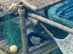 -大连森林动物园