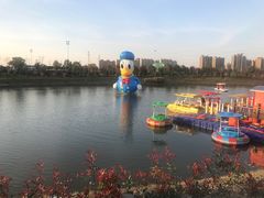 -菊园百果园