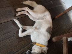 -春风十里咖啡馆