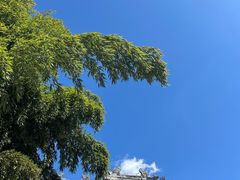 -红螺寺