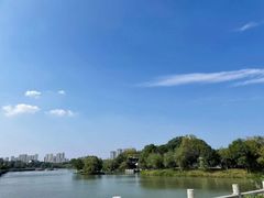 -八大山人梅湖景区