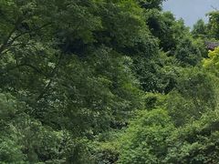 -天河潭旅游度假区