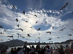 -海驴岛(荣成市)