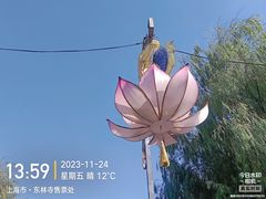 -上海东林寺(金山区)