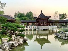 -葛仙湖公园
