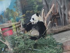 -南宁市动物园