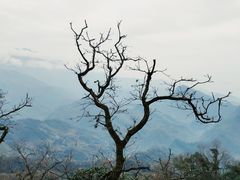 -青城山
