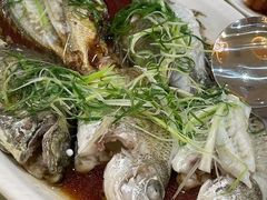 -益利大酒楼(井岸店)