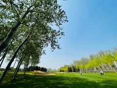 -龙熙温泉高尔夫俱乐部