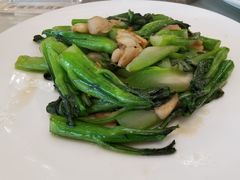 蒜茸炒时蔬-黄埔华苑酒家(黄埔总店)