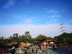 -加蒙特森林幼儿园(广州市增城区店)