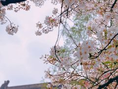 -鸡鸣寺