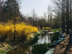 -白水寺森林公园