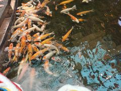 -唐山宴大唐州府精品中餐