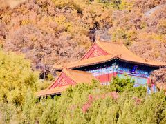 -天津盘山风景名胜区