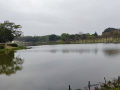 -东莞植物园