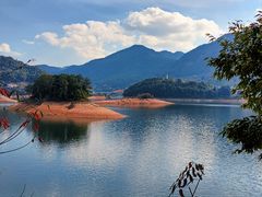 -广州市流溪河国家森林公园