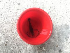 -大象营野Life营地·钓虾(坦尾店)